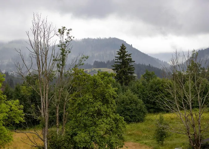 Hawran 3* Закопане